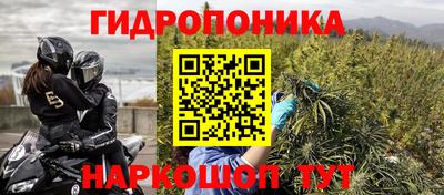 ешки Гудермес
